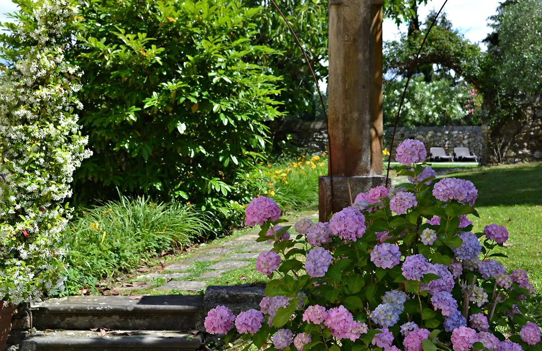 Hotel Albergo Villa Marta-1